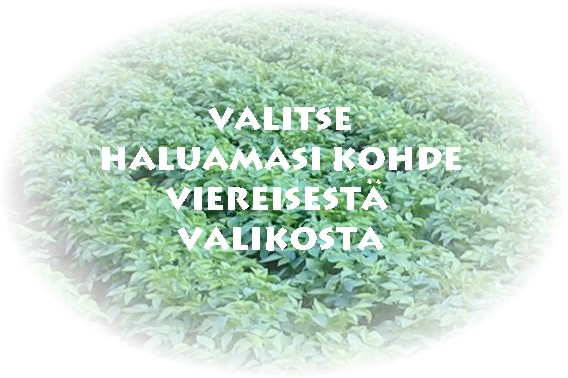 Valitse viereisest valikosta