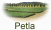 petla